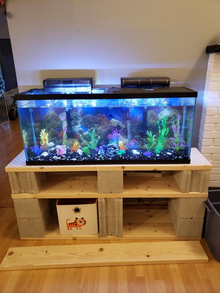 Kann mein Boden ein 75-Gallonen-Aquarium tragen?
