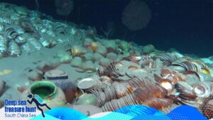 A Treasure Hunt on the Ocean Floor