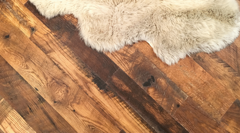 Can Fleas Live on Hardwood Floors