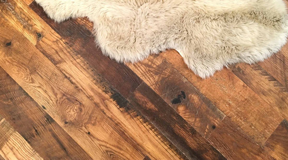 Can Fleas Live on Hardwood Floors