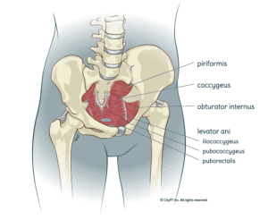 Does Insurance Cover Pelvic Floor Therapy