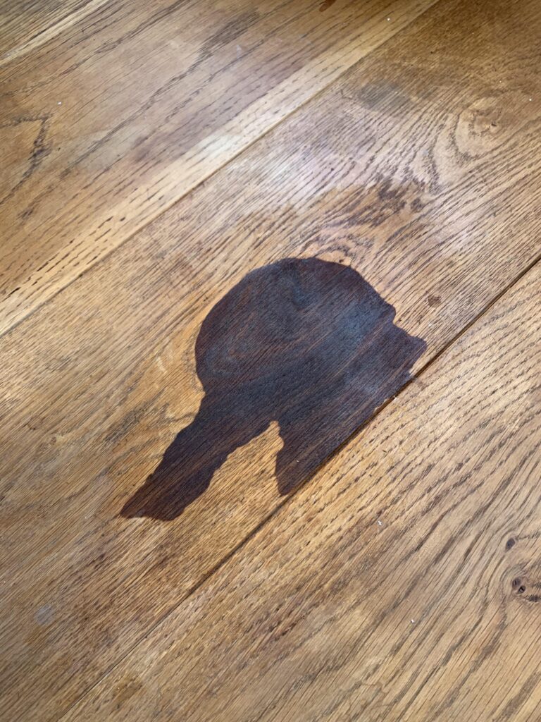 How Do You Get Dog Pee Out of Wood Floors