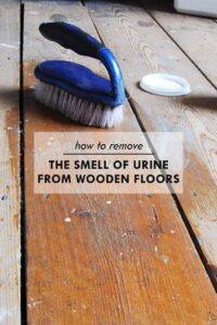How Do You Get Pee Smell Out of Hardwood Floors