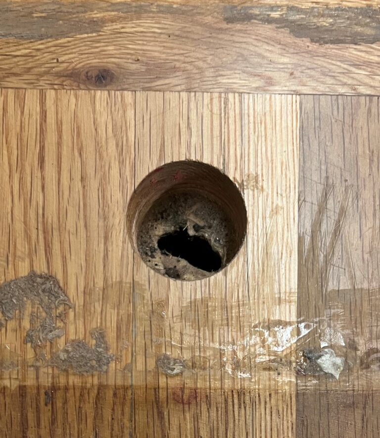 How to Fix Hole in Wood Floor