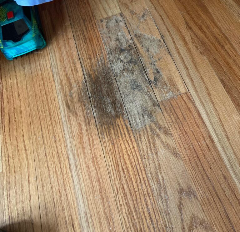 How to Fix Water Damaged Wood Floor