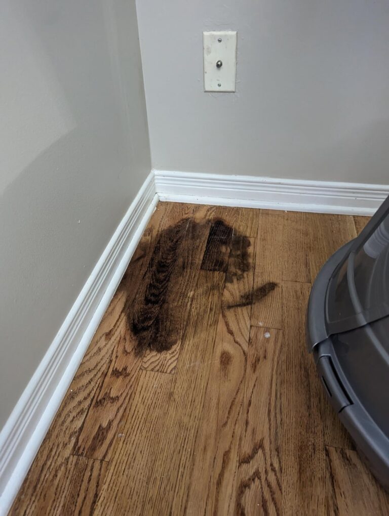How to Get Cat Pee Out of Wood Floors