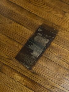 How to Get Cat Urine off of Hardwood Floors