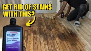 How to Get Dog Urine Out of Hardwood Floors