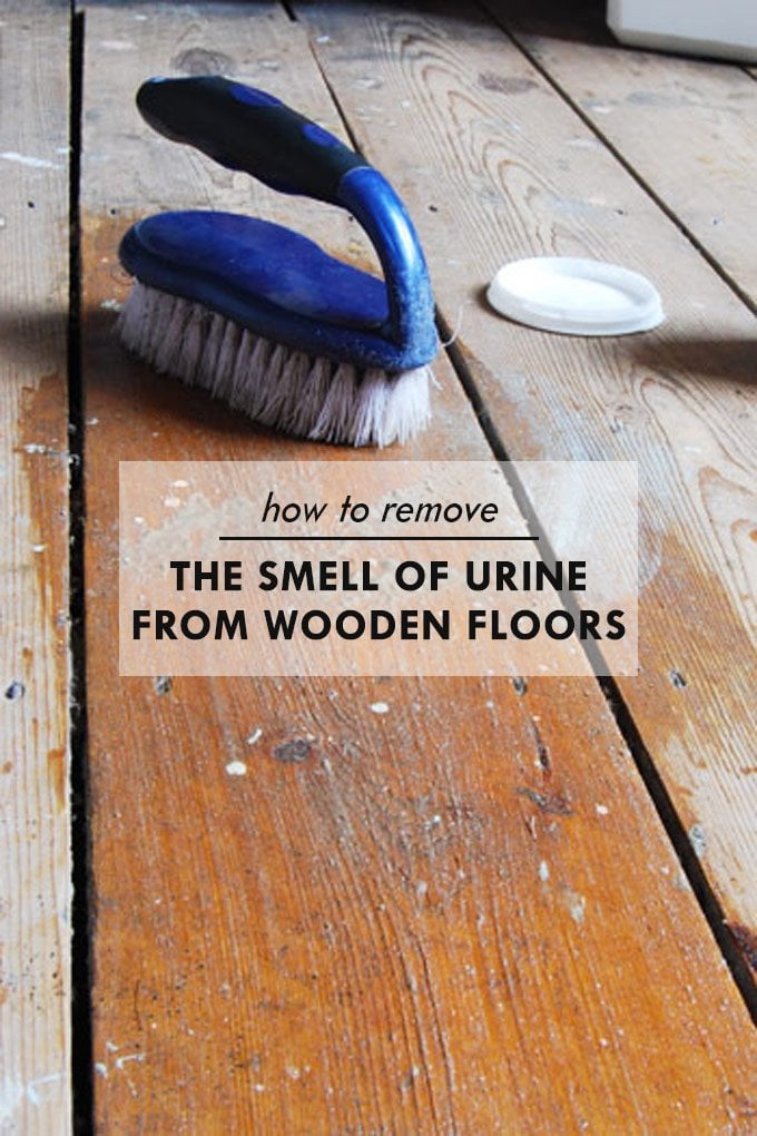 How to Get Pee Smell Out of Wood Floor