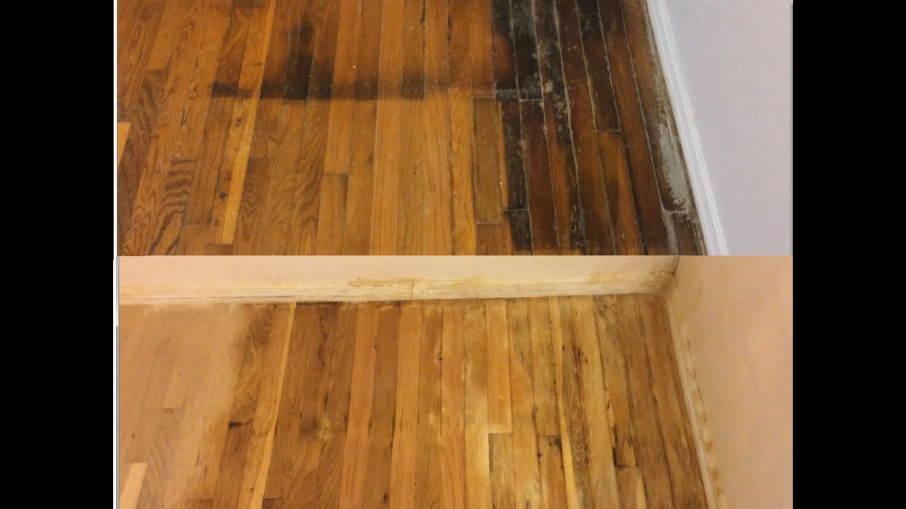 How to Get Urine Stains Out of Hardwood Floors