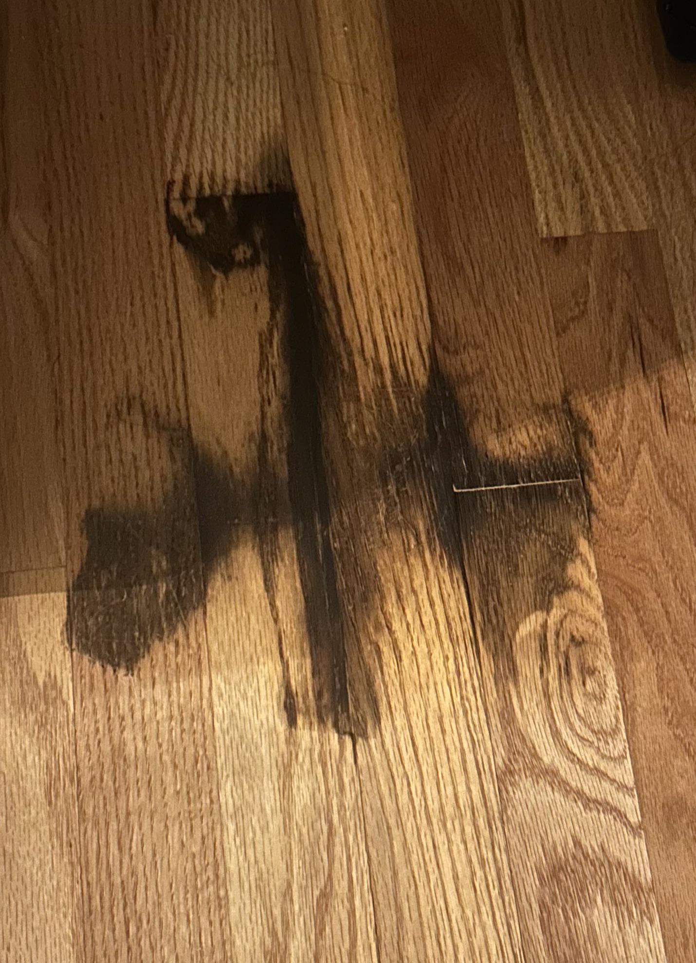 Is Pine Sol Good for Wood Floors