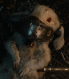 What Happened to Floor in Guardians of the Galaxy