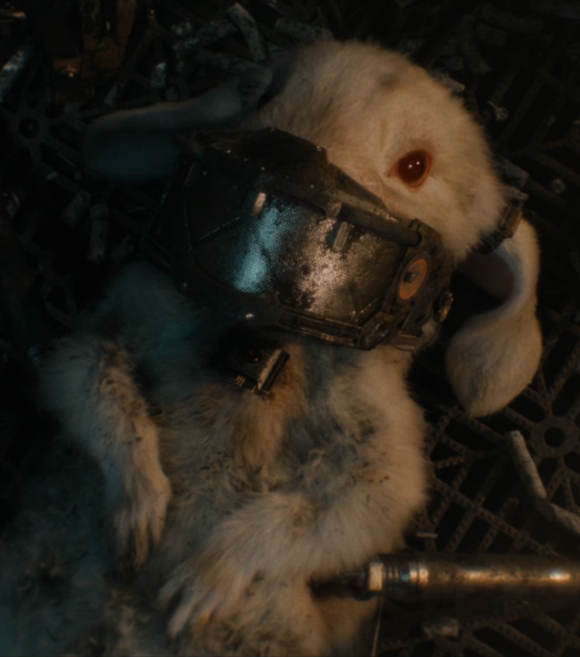 What Happened to Floor in Guardians of the Galaxy