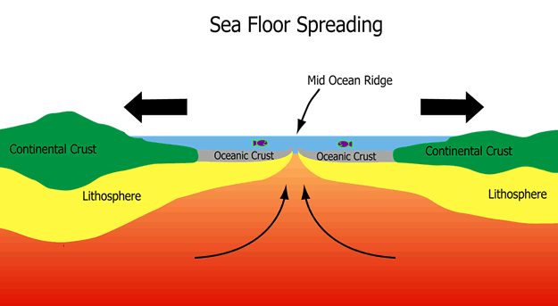 What is Ocean Floor Spreading