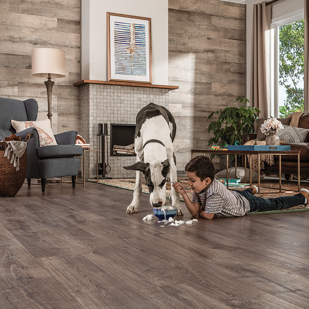 What is the Best Flooring for Dogs