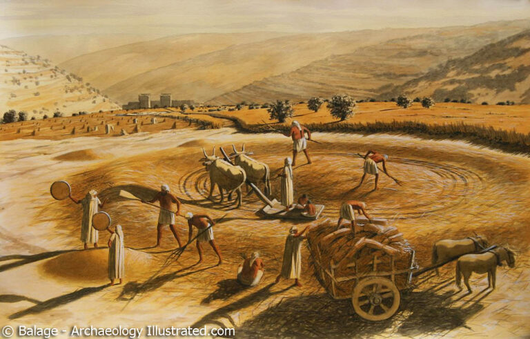 What is Threshing Floor in the Bible