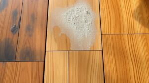 repair dog urine damage